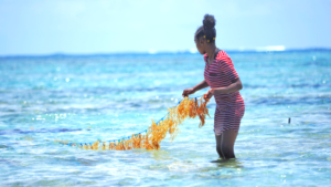 Lire la suite à propos de l’article 𝗦𝗵𝗵𝗵𝗵𝗵𝘂𝘂𝘂𝘂𝘁…𝗰̧𝗮 𝗽𝗼𝘂𝘀𝘀𝗲 !