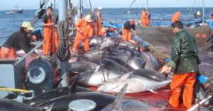Lire la suite à propos de l’article Madagascar finalise un nouvel accord de pêche avec l’UE